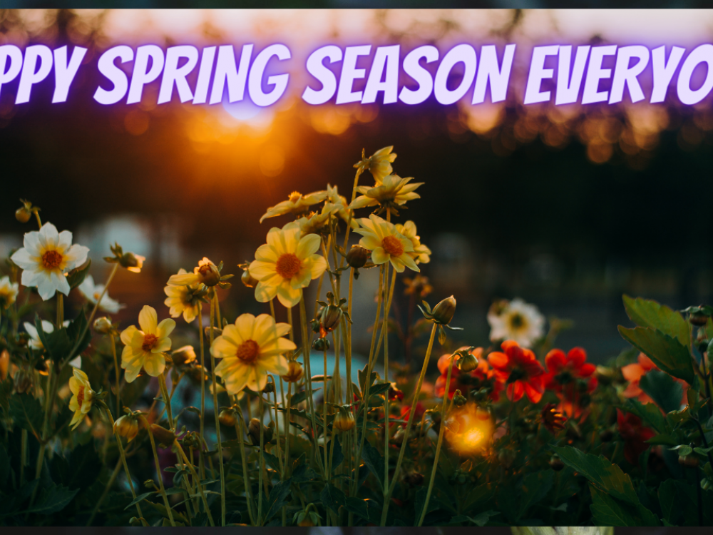 Happy Spring Time Everyone! | My Scrapbooking Mall