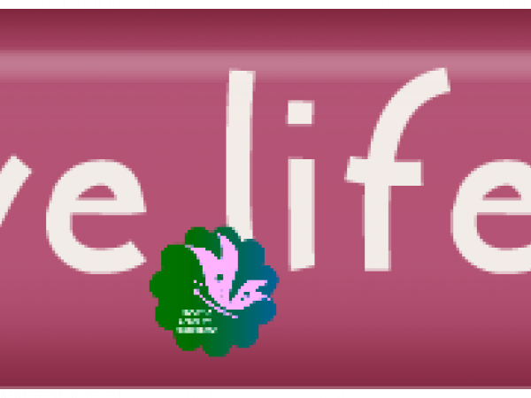 A Life Expressed Passionately. Don't Just....- CREATIVE MEMORIES