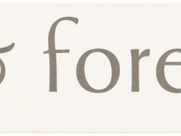 Wedding Story Brown Word Always And Forever - CREATED MEMORIES - WEDDINGS
