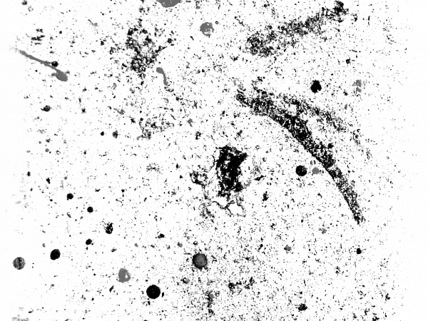 Ink Brush Spot - CREATIVE MEMORIES