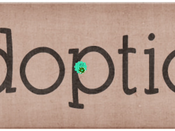 Adoption. Brown - CREATIVE MEMORIES