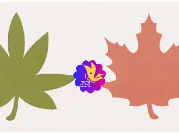FREE PRINT: Autumn Fall Leaf - CREATIVE MEMORIES