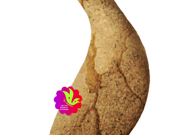 Brown Wooden Bird - CREATIVE MEMORIES