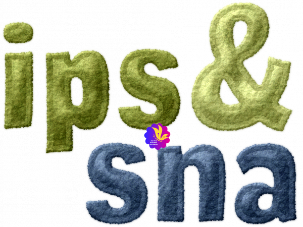 Bundle Of Boy Word. Art Snips And Snails - CREATIVE MEMORIES