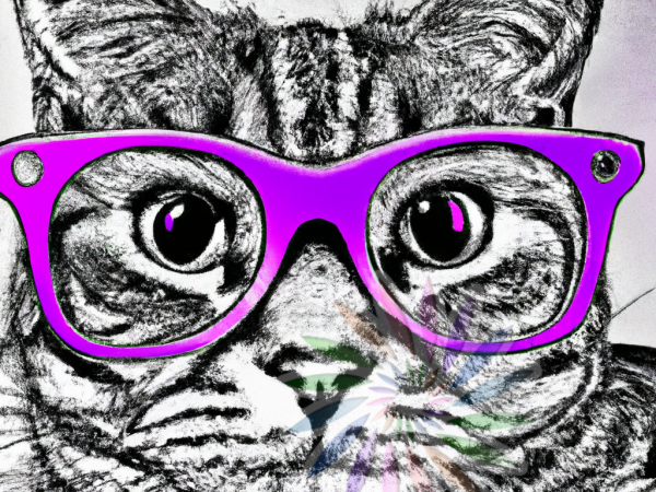 Black and White Drawing of Cat Wearing Purple Glasses-AA