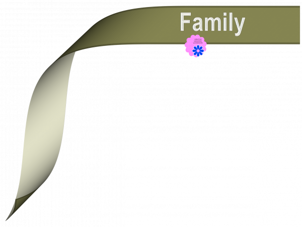 Family Green Ribbon - CREATIVE MEMORIES