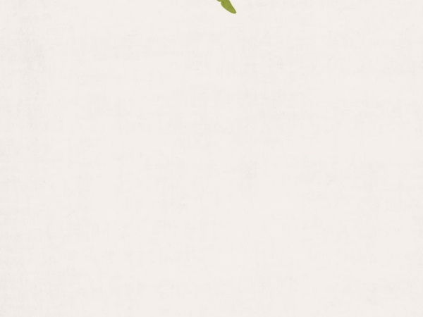 Green Dragonfly Top - CREATIVE MEMORIES