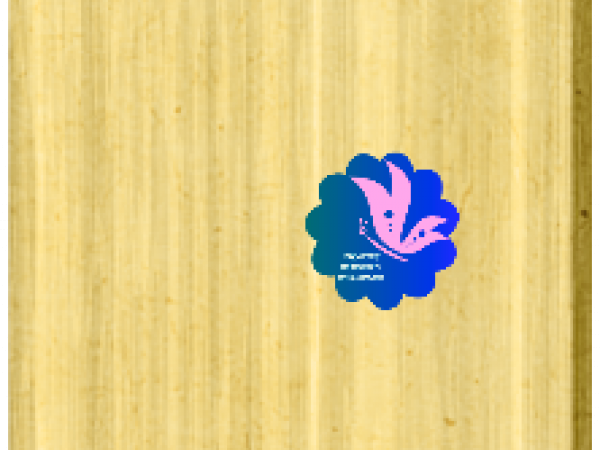 Its A Boy Tag Rectangle. Wood Grain - CREATIVE MEMORIES