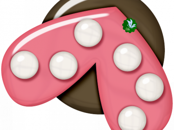 Lady Bug. Pink - CREATIVE MEMORIES