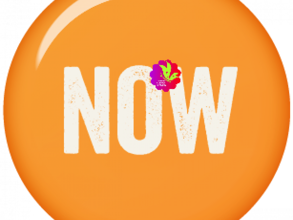 Live For Today. Flair. Now - CREATIVE MEMORIES