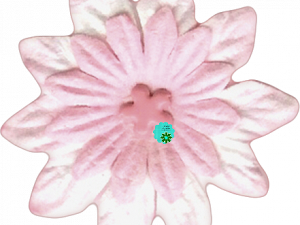 FREE PRINT | Pink Flower Baby - CREATIVE MEMORIES