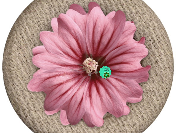 FREE PRINT | Pink Flower Fabric Button - CREATIVE MEMORIES