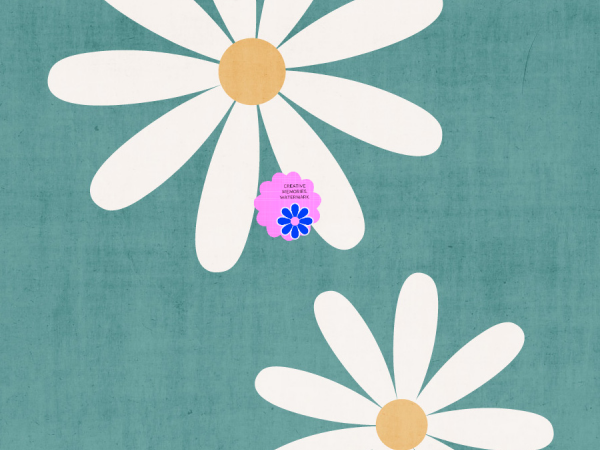 White Flowers On Blue - CREATIVE MEMORIES