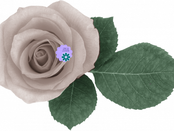 White Rose Flower - CREATIVE MEMORIES