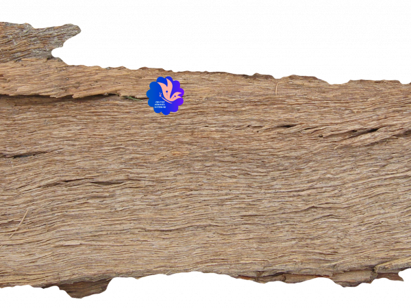 Wooden Bark Sign - CREATIVE MEMORIES