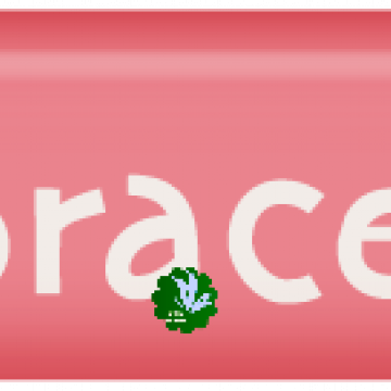 A Life Expressed Passionately. Embrace Life - CREATIVE MEMORIES