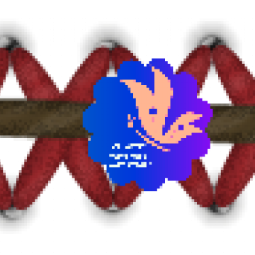 Autumn Colour With Black - CREATIVE MEMORIES