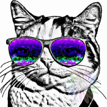Black and White Drawing of Cat Wearing Purple Glasses-A Black and White Drawing of Cat Wearing Purple Glasses-A