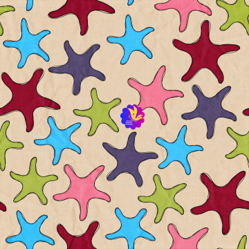 Coloured Star Fish - CREATIVE MEMORIES