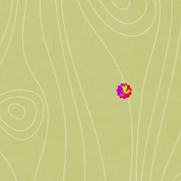 Green Wood Grains - CREATIVE MEMORIES