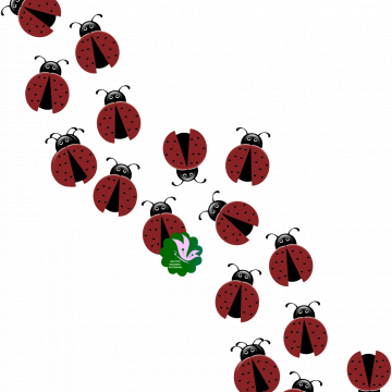 Lady Bug Scatter - CREATIVE MEMORIES