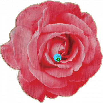 Pink Rose Flower - CREATIVE MEMORIES