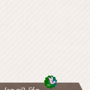 Real Life On. White - CREATIVE MEMORIES