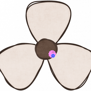 White Petal Flower - CREATIVE MEMORIES