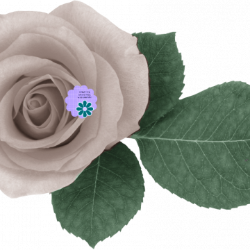 White Rose Flower - CREATIVE MEMORIES