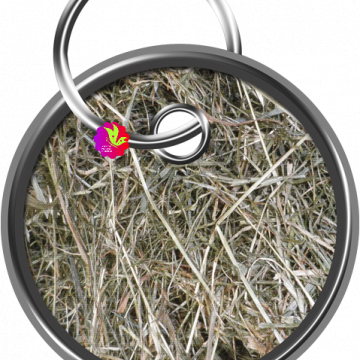 Woods Round. Key Ring - CREATIVE MEMORIES