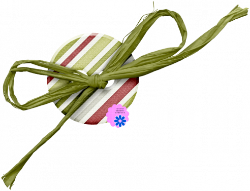 Christmas Two Hole Tied Button