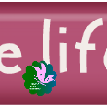 A Life Expressed Passionately. Don't Just....