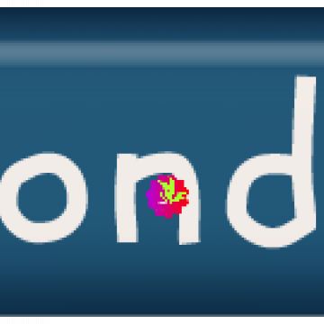 A Life Expressed Thoughtfully. Wonder