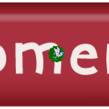 A Life Expressed. Word Art. Moments