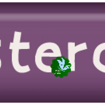 A Life Expressed. Word Art. Yesterday...