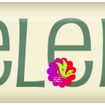 A Year In Review. Life Celebrated