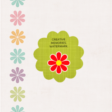 Spring Colour Flowers Border