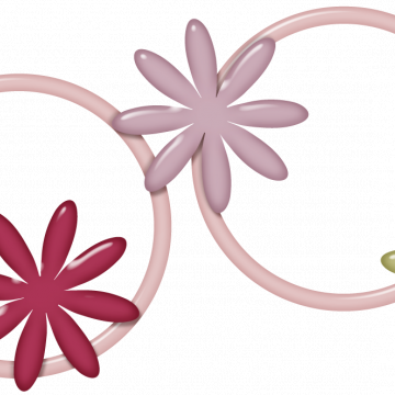 Daisy Flowers Circle