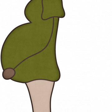 Pregnant Mom Black Hair 2