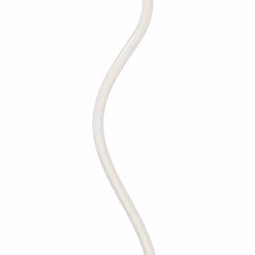 Orange Balloon String