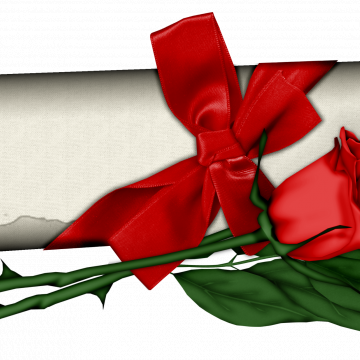 Diploma And Roses