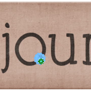 Adoption Our Journey. Brown