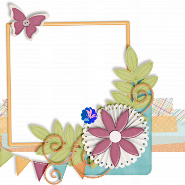 Butterfly Flower Summer