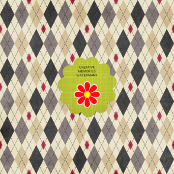 Camera Paper Pattern