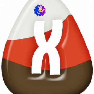 Capital X Candy Corn