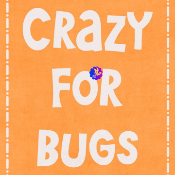Crazy For Bugs. Orange
