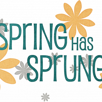 Spring Fling Spring Has Sprung