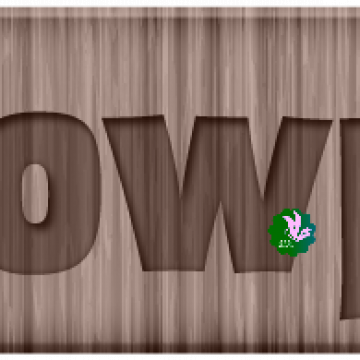 Farmyard Fun. Lil Cowpoke