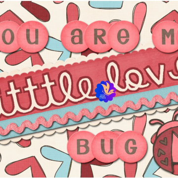 Little Love Bug