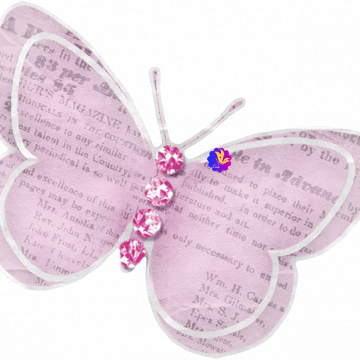 Pink Writing Butterfly